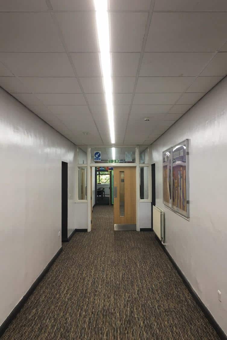 DA-FENNEL - Image 12