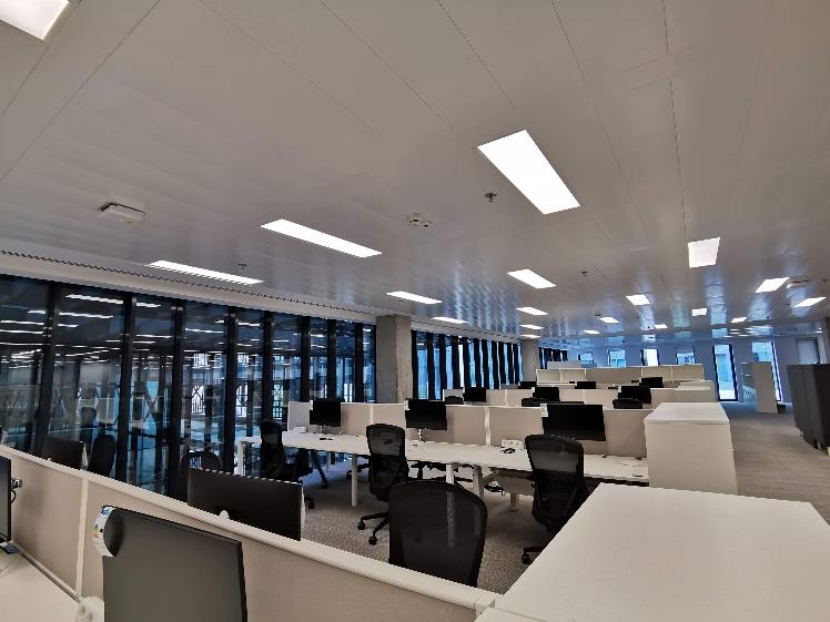 DA-PEANUT - Image 14