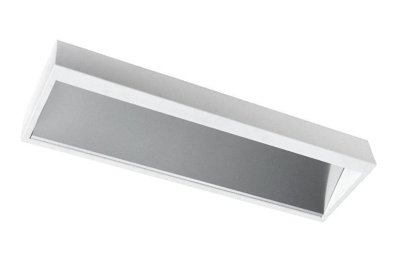 DA-AMYROOT - Image 4