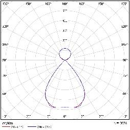 DA-CANEASH LP LED - Image 7