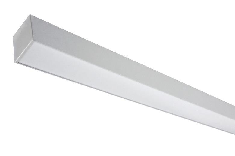 DA-CANEASH - Image 2