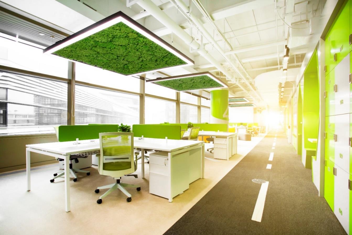 DA-HOGWEED G LED - Image 13