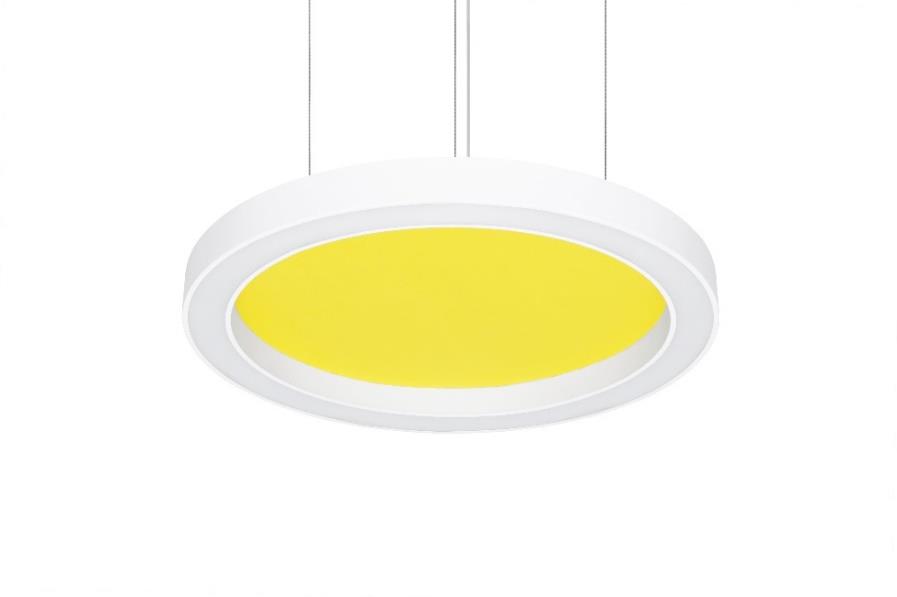 DA-LOWROSE - Image 2