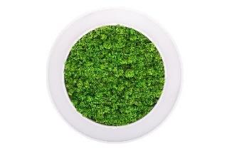 DA-MILFOIL - Image 3