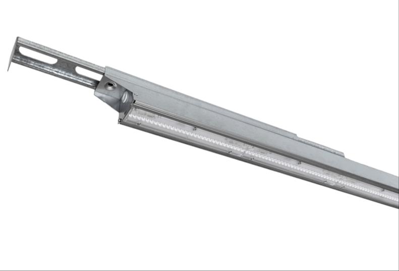 DA-BABYROSE - Image 3