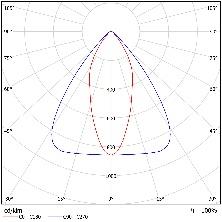 DA-BABYROSE - Image 6