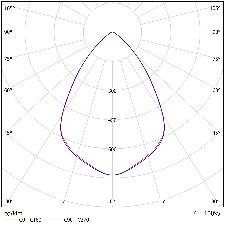 DA-BABYROSE - Image 7