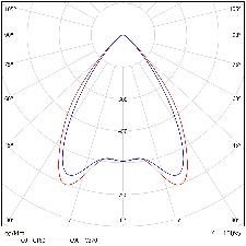 DA-BABYROSE - Image 8