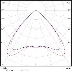DA-BABYROSE - Image 9