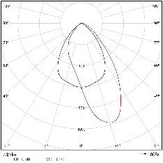 DA-BABYROSE - Image 10