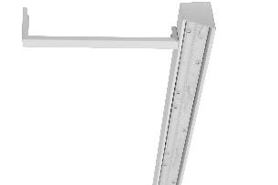 DA-BEARCORN - Image 6