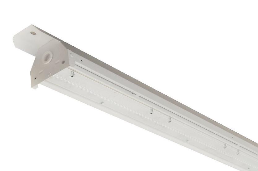 DA-SWINIES - Image 5