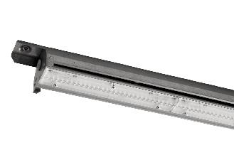 DA-THISTLE - Image 2