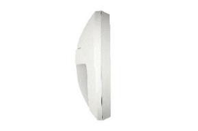 DA-BOXELDER - Image 5