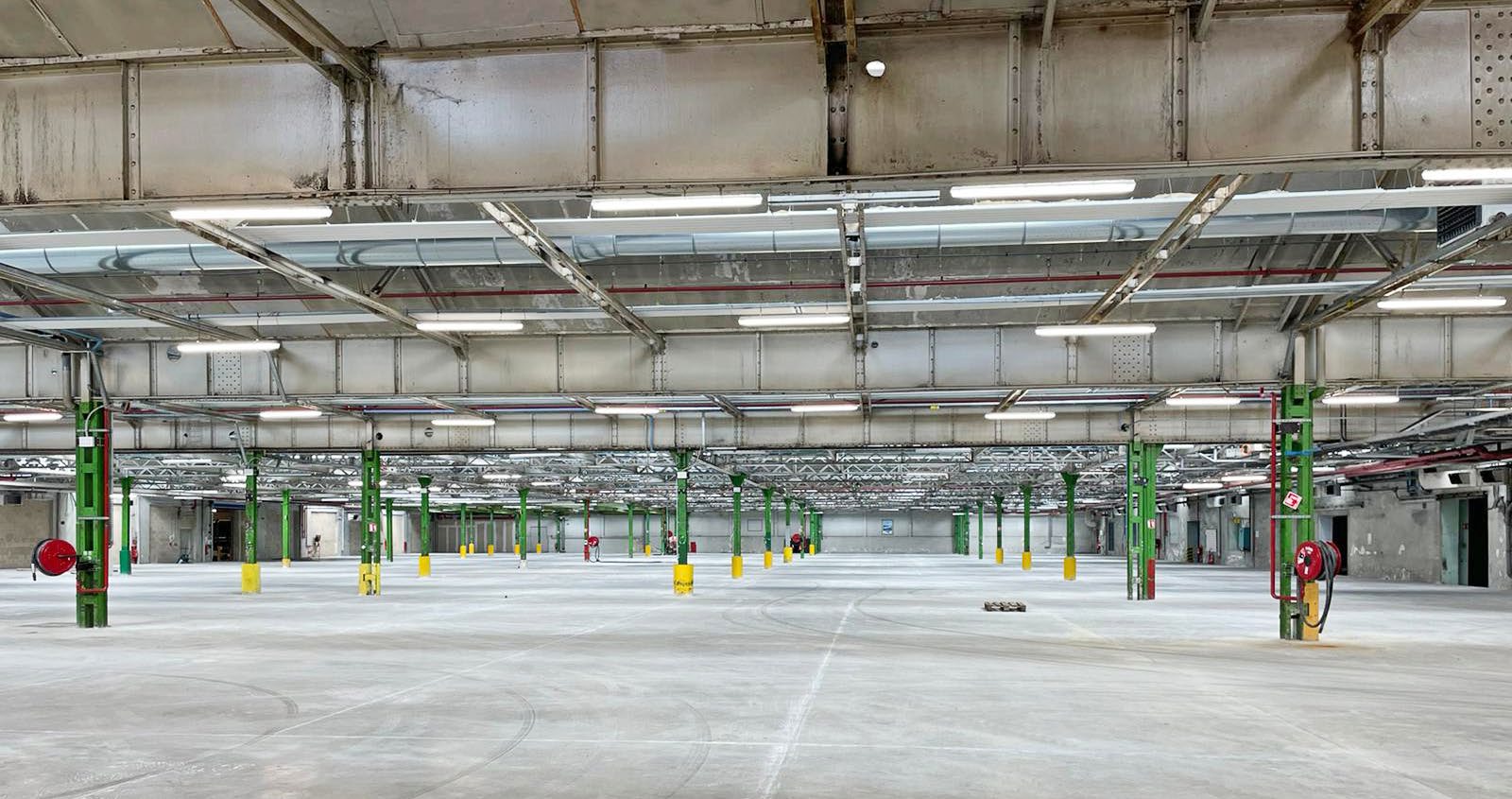 DA-GREENASH - Image 16