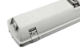 DA-ITCHWEED LE D - Image 3