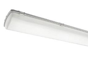 DA-LILYLEEK - Image 2