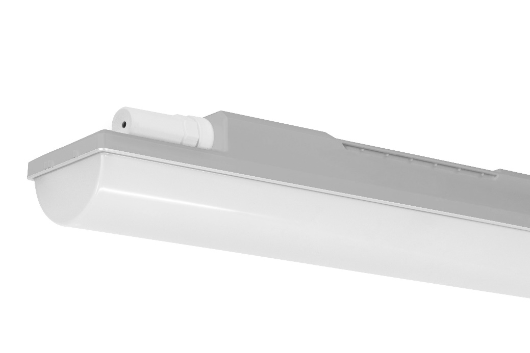 DA-MESQUITE - Image 3