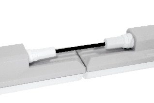 DA-MESQUITE - Image 5