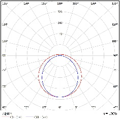 DA-MESQUITE - Image 11