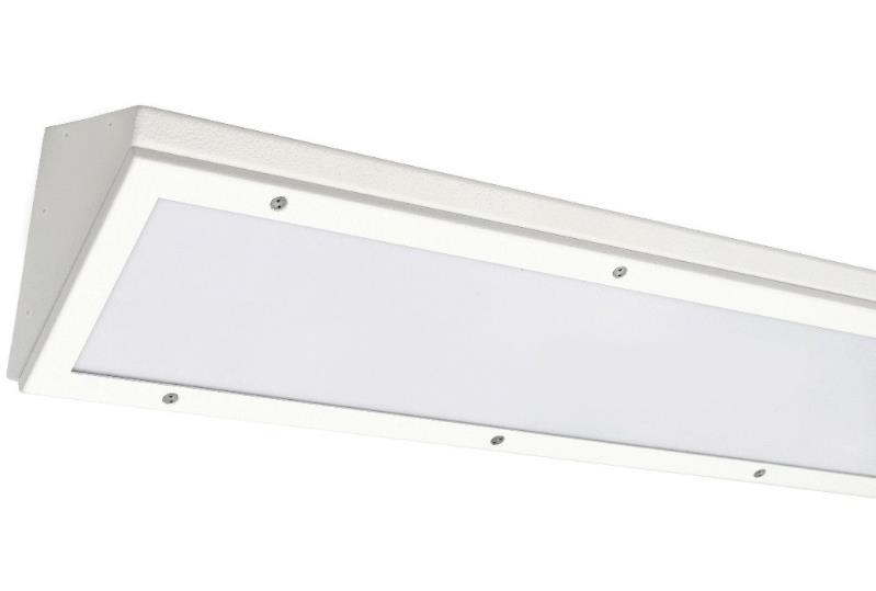 DA-SHADBUSH - Image 2