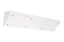 DA-SHADBUSH - Image 5