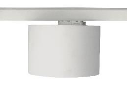 DA-BLACKBIRCH - Image 2