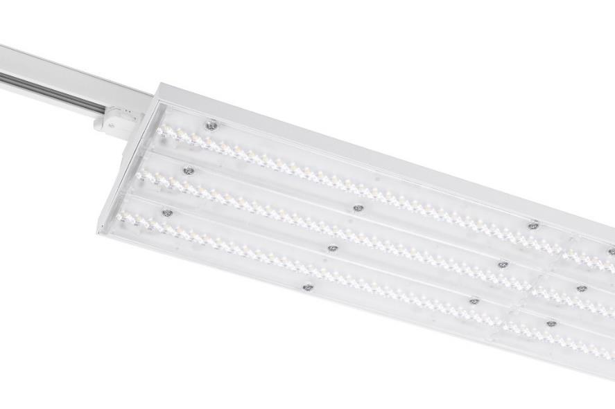 DA-BLACKMAPLE T LED - Image 6