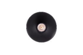 DA-BULLNETTLE - Image 4