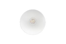 DA-BULLNETTLE - Image 8