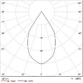 DA-BULLNETTLE - Image 13