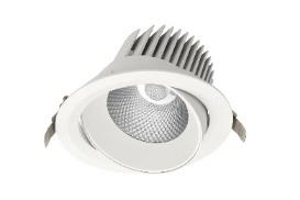 DA-SQUAWBUSH - Image 3