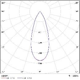 DA-SQUAWBUSH - Image 9