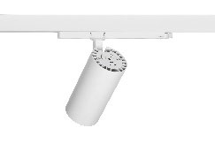 DA-TUBERROOT - Image 5