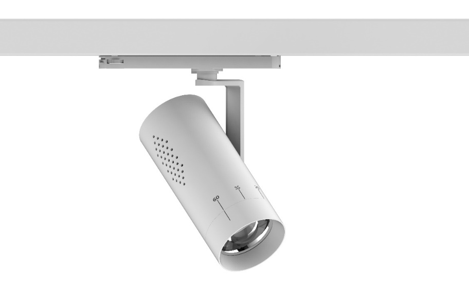 DA-WATERFERN - Image 3