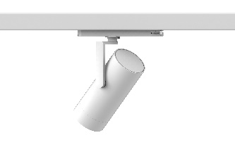 DA-WATERFERN - Image 4