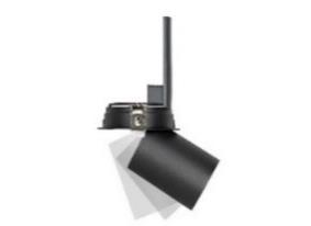 DA-WHITEROOT - Image 4