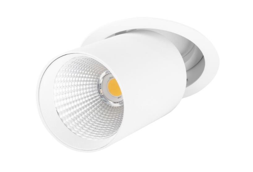 DA-WHITEROOT - Image 5