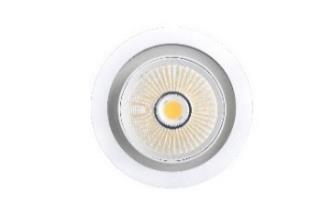 DA-WHITEROOT - Image 6