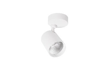 DA-WILDONION - Image 4