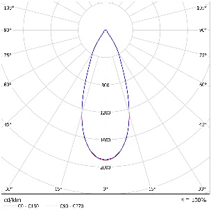 DA-WILDONION - Image 11