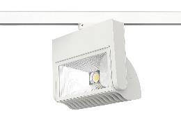 DA-WINEBERRY - Image 5