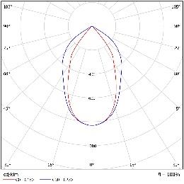 DA-WINEBERRY - Image 10