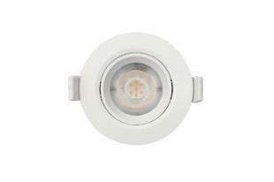 DA-CANOEBIRCH - Image 2