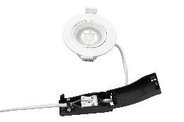 DA-CANOEBIRCH - Image 3