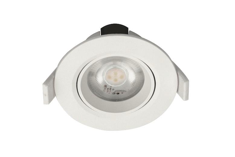 DA-CANOEBIRCH - Image 5