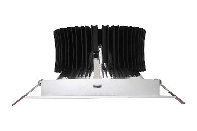 DA-DUCKRETTEN - Image 3