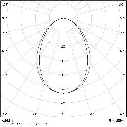 DA-GARLICROOT - Image 3