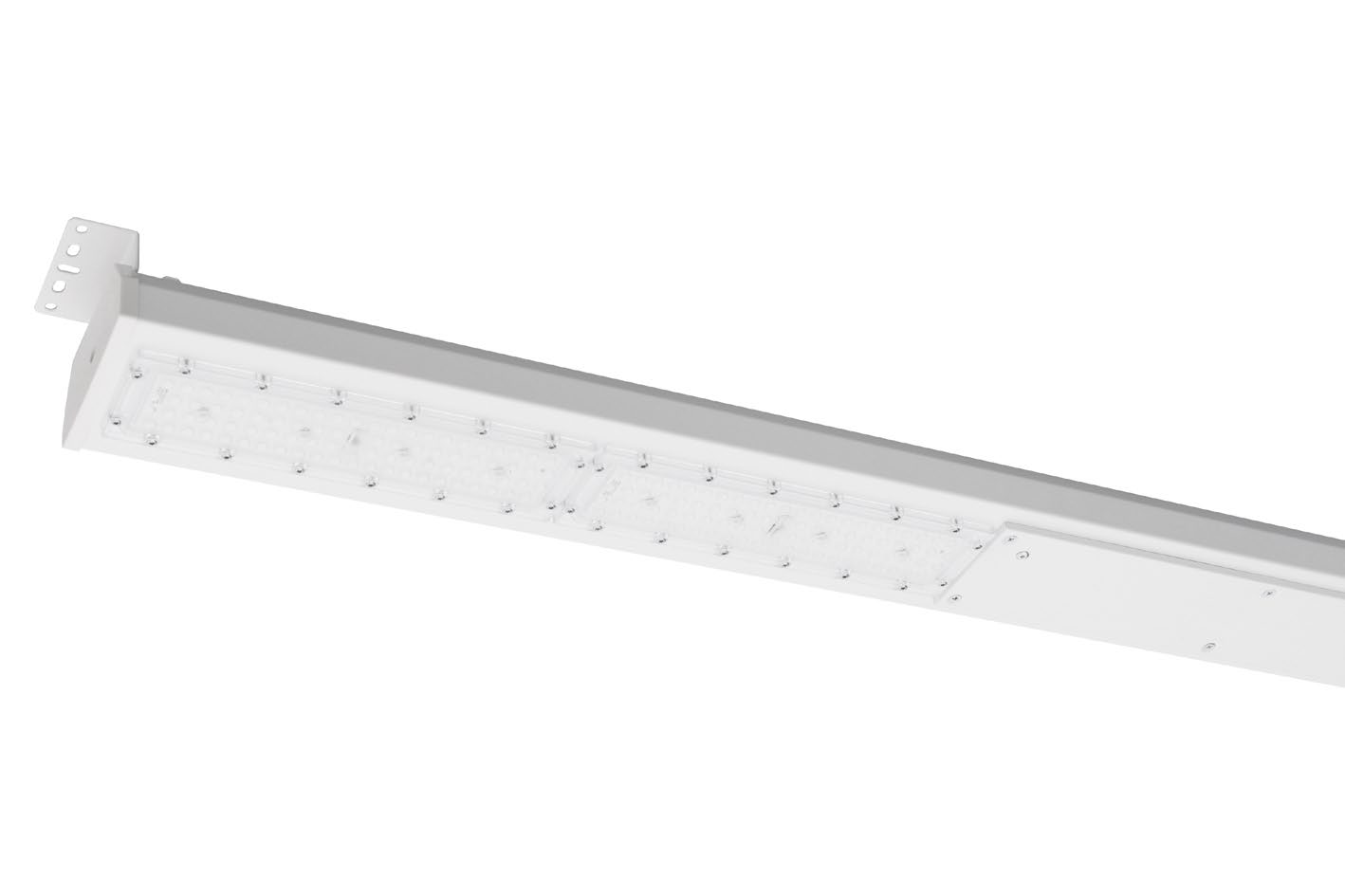 DA-ORANGEROOT - Image 9