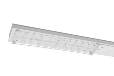 DA-ORANGEROOT - Image 11